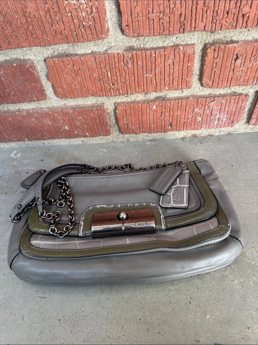 Coach Croc Leather Bag